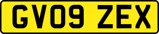 GV09ZEX