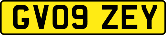 GV09ZEY