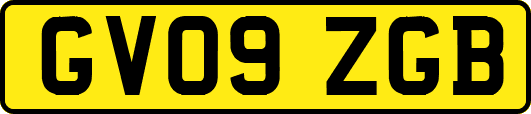 GV09ZGB