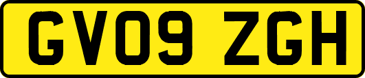 GV09ZGH