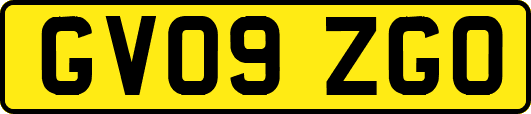 GV09ZGO