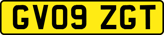 GV09ZGT