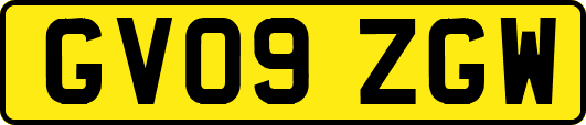 GV09ZGW