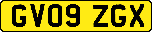 GV09ZGX