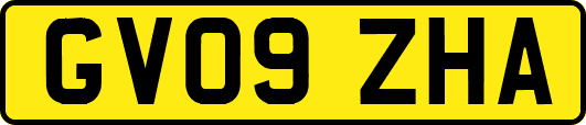 GV09ZHA