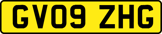 GV09ZHG