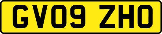 GV09ZHO