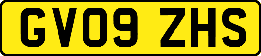 GV09ZHS