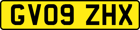 GV09ZHX