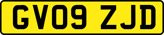 GV09ZJD
