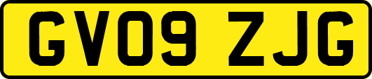 GV09ZJG