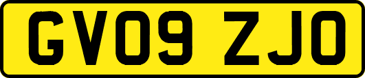 GV09ZJO