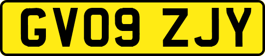 GV09ZJY