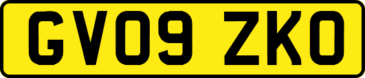 GV09ZKO