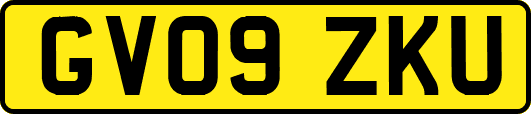 GV09ZKU