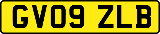 GV09ZLB