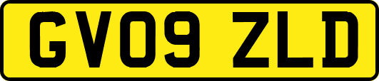 GV09ZLD