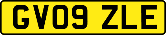 GV09ZLE