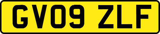 GV09ZLF