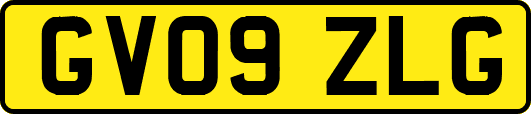 GV09ZLG