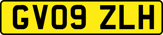GV09ZLH