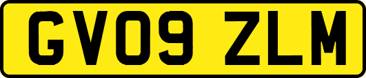 GV09ZLM