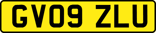GV09ZLU