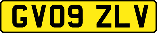 GV09ZLV