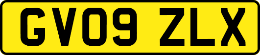 GV09ZLX