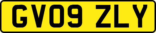 GV09ZLY