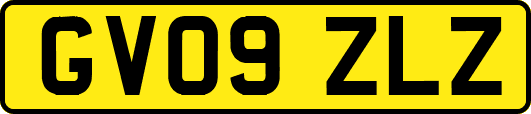 GV09ZLZ