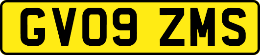 GV09ZMS