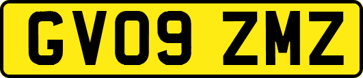 GV09ZMZ
