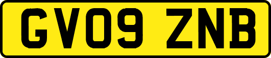 GV09ZNB