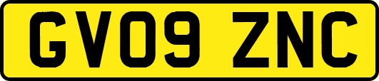 GV09ZNC