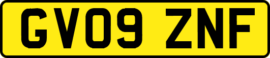 GV09ZNF