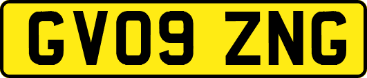 GV09ZNG
