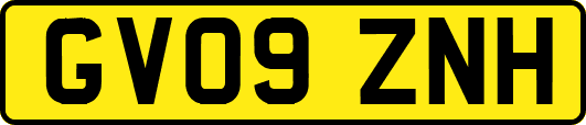 GV09ZNH