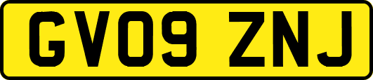 GV09ZNJ