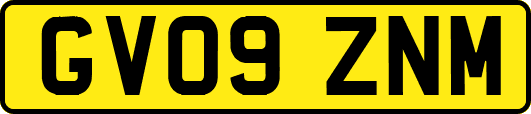 GV09ZNM