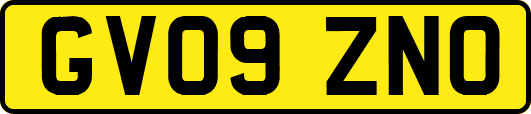 GV09ZNO