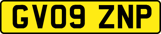 GV09ZNP