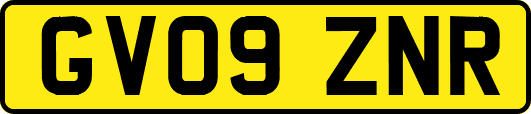 GV09ZNR