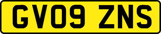 GV09ZNS