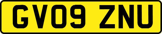 GV09ZNU