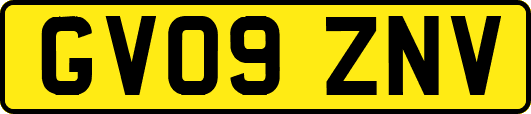 GV09ZNV