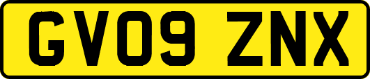 GV09ZNX