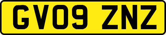 GV09ZNZ