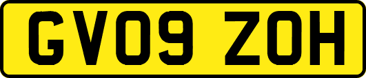 GV09ZOH