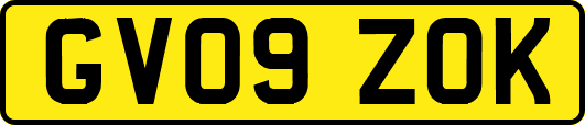 GV09ZOK